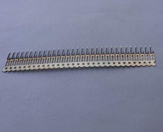 公頭(電泳)1 公頭(電泳)1